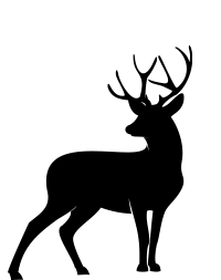 blacktail deer icon